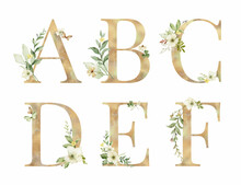 Floral Vector Alphabet, Letters A, B, C, D, E, F.