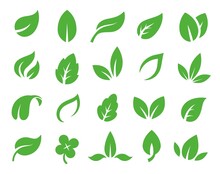 Green Leaves Nature Eco Logo. Fresh Organic Plant Symbol, Vegan Label Icons. Ecology And Healthy Life Emblem. Bio Eco-friendly, Environment Care Vector Set