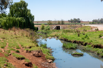 Wall Mural - Farm in South Africa