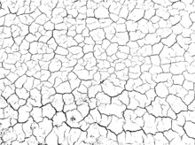 Cracked Ground Surface Texture. Vector Illustration. Monochrome Background Of Coarse Soil