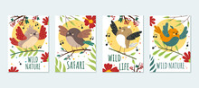 Forest Birds Greeting Cards Flyers Poster Concept. Vector Flat Cartoon Design Element Illustration