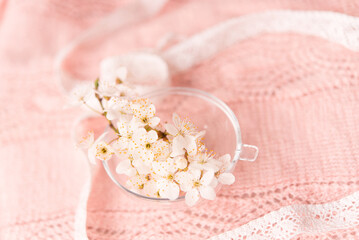 Poster - cherry blossoms in a small glass vase on a delicate pink knitted background