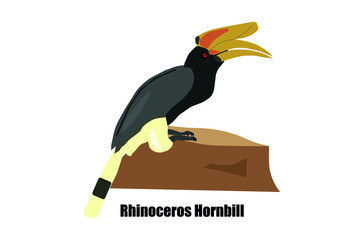 A rhinoceros hornbill bird (Buceros rhinoceros) vector colored tropical bird illustration icon.