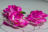 Fototapeta Kwiaty - piękne kwiaty bukiet ślub wesele