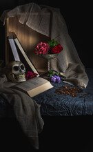 Still Life Scene Of A Skull With A Book,