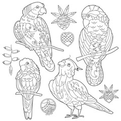 Wall Mural - Contour linear illustration for coloring book with decorative parrot. Beautiful bird, anti stress picture. Line art design for adult or kids in zen-tangle style, tatoo and coloring page.