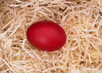 Wall Mural - Red easter egg on wood shavings.