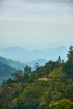 Fototapeta Na ścianę - Mountains jungle forest hills fog summer