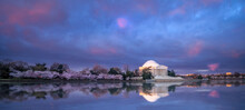 Panorama Of The Jefferson Memorial At Twilight With The Blooming Of The Cherry Blossoms In Early Spring