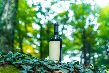 Poster - Bottle of wine in nature