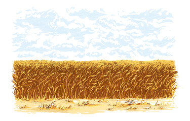 field hand drawing sketch engraving illustration style