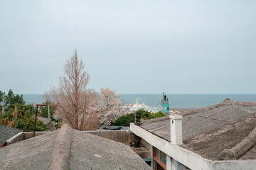 Canvas Print - Coastal town, Jeju olle trail route 18 in Jeju island, Korea