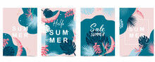 Summer Sale Background With Bird Of Paradise Palm And Jungle