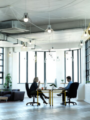 Poster - Working hard for the benefit of the company. Full length shot of two businesspeople working at their desks in the office.