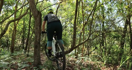 Wall Mural - Asian woman mountain biking on spring forest trail