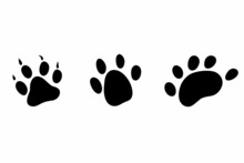 Paw Print With Claws. Trace Of  Animal. Paw Print Of Cat, Dog, Mink, Lion, Tiger, Bear. Vector Icon Illustration On A White Background.