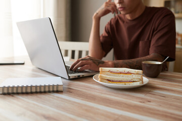 Wall Mural - Plate with ham and cheese sandwiches on desk of student working on laptop at home