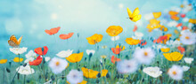 Beautiful Colorful Flower Meadow With Multi-colored Poppies And Fluttering Butterflies In Nature In Spring And Summer On Light Turquoise Background Close-up With Soft Focus.