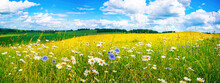 Beautiful Summer Colorful Panoramic Landscape Of Flower Meadow With Daisies Against Blue Sky With Clouds.