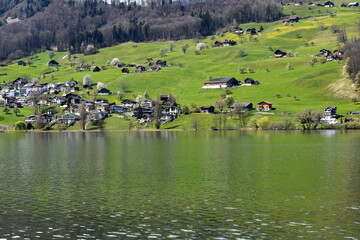 Poster - suisse