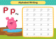 Alphabet Letter  P - Pig Exercise With Cartoon Vocabulary Illustration, Vector