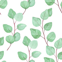 Naklejka na meble flat watercolor seamless pattern with eucalyptus leaves. ripe green tropical eucalyptus leaves on white background