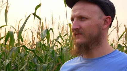 A bearded man in a cap inhales the aroma of corn in the field. A happy farmer is harvesting his crops. Production and cultivation of food and animal feed on the field. Ecological product.