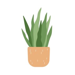 Wall Mural - Potted Sansevieria, snake plant. Interior houseplant growing in flowerpot. Green home tongue-leaf decor. Indoor decoration, bow string hemp. Flat vector illustration isolated on white background