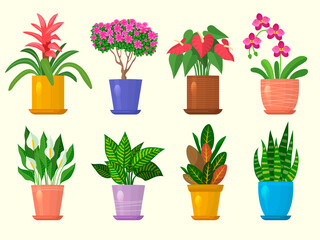 Wall Mural - Flowers in pot. Botanical home decoration flowers and leaves recent vector nature illustrations