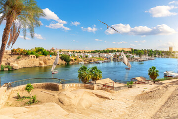 Traditional view of Aswan by the Nile river and sailboats, Egypt