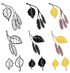 Wall Mural - Birch leaves and twigs outline, in silhouette and colorful isolated on white background. Autumn design elements. Vector illustration.