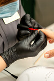 Fototapeta Konie - Manicure varnish painting. Close-up of a manicure master wearing rubber black gloves applying red varnish on a female fingernail in the beauty salon