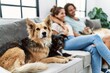 © Krakenimages.com - Man and woman couple smiling confident and hugging each other sitting on sofa with dogs at home