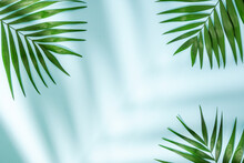 Empty Blue Background With Palm Leaves And Shadows. Summer Tropical Backdrop With Minimal Concept.