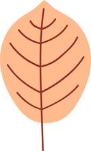 Brown Leaf
