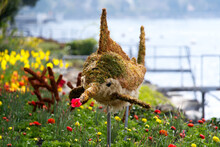 Sea Animals Grass Sculptures With Swordfish At Riviera Of Lake Geneva At Swiss City Of Montreux On A Cloudy Spring Day. Photo Taken April 4th, 2022, Montreux, Switzerland.