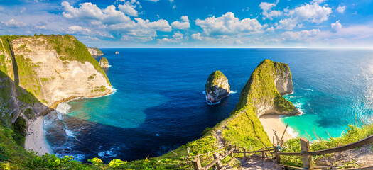 Wall Mural - Kelingking Beach in Nusa Penida