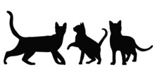 Cats Silhouette, On White Background, Isolated, Vector