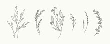 Minimal Hand Drawn Floral Botanical Art. Trendy Elements Of Wild And Garden Plants, Branches, Leaves, Flowers, Herbs. Vector Illustration For Logo Or Tattoo, Invitation Save The Date Card