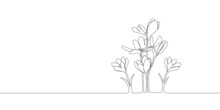 Crocus Flowers Silhouette. One Single Line. Vector Illustration. Doodle Floral Border. Black And White. Wedding Design