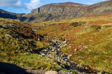 Wall Mural - Landscape of Comeragh Mountains