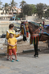 Wall Mural - Horse. Tourist woman with child in Saint Louis city, Senegal, Africa. Saint Louis landmark, monument. Saint Louis street cityscape. Traditional national transport