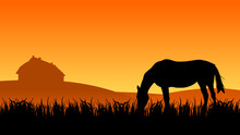 Horse In The Pasture Near The Stable At Sunset Time, Vector Illustration