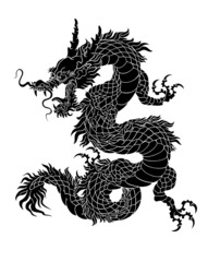 Wall Mural - Oriental painting dragon illustration tattoo transfer line mane wave 01