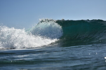 Wall Mural - the waves seen from within and from below