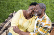 © LIGHTFIELD STUDIOS - joyful and senior african american couple with closed eyes hugging during picnic.