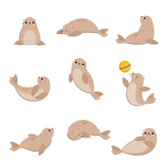 Canvas Print - Cute Seal with Beige Fur and Fins Swimming and Playing Ball Vector Set