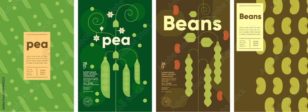 Pea. Beans. Set of vector illustrations. Label design, price tag, cover ...