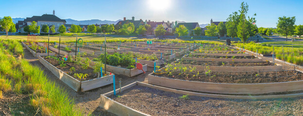 Community garden in the middle of a field with trees at Daybreak, South Jordan, Utah