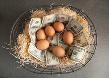 Eggs And Money In A Basket Symbolic Of Nest Eggs Of Investments